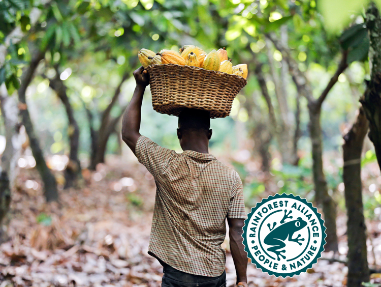 Rainforest Alliance Certificerad
